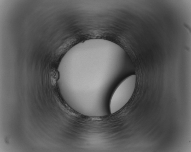 X0000102040719200807181030