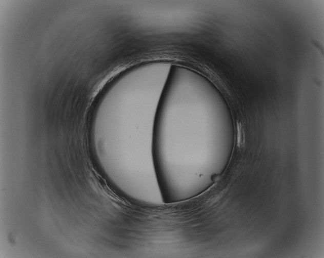 X0000102040723200807181029