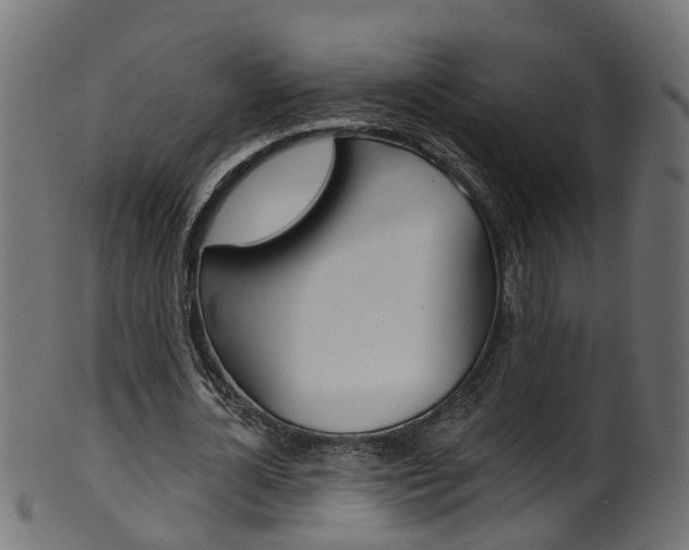 X0000102040724200807181029