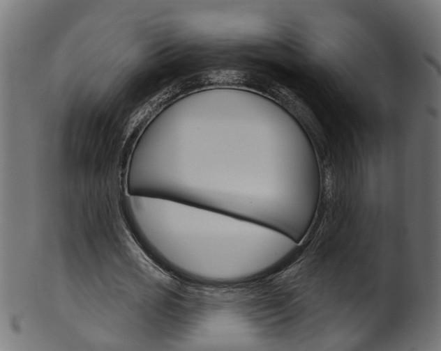 X0000102040725200807181029