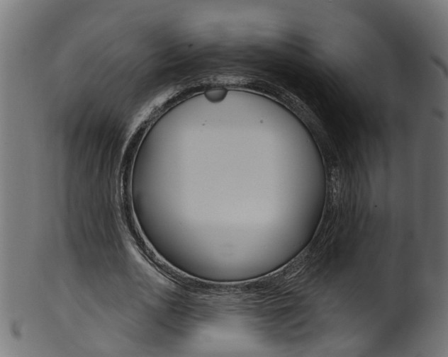 X0000102040726200807181029