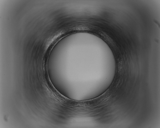 X0000102040727200807181029