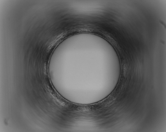 X0000102040729200807181029