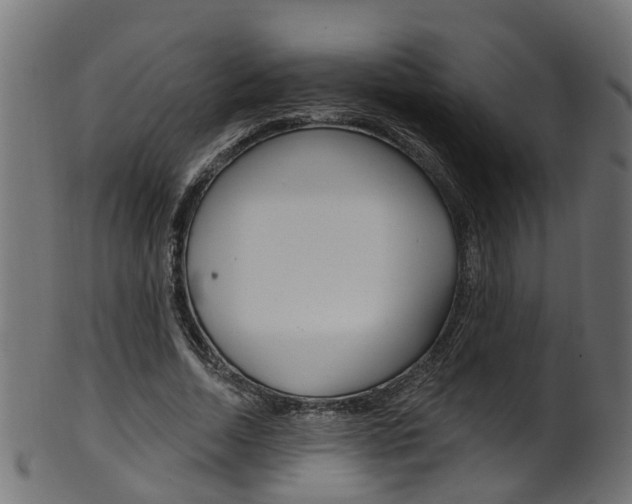 X0000102040730200807181029