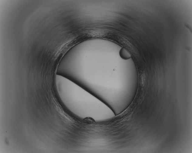 X0000102040733200807181029