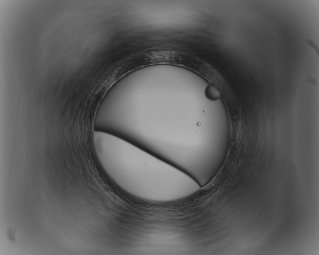 X0000102040737200807181029