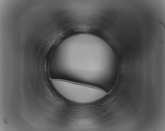 X0000102040739200807181029