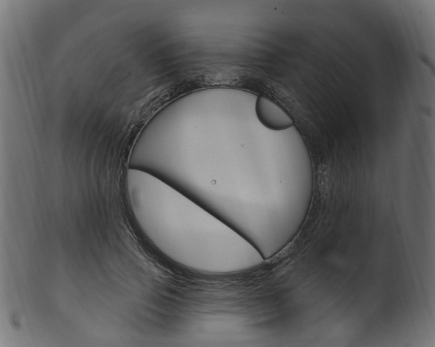 X0000102040741200807181029