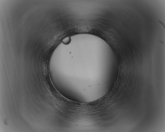 X0000102040743200807181029