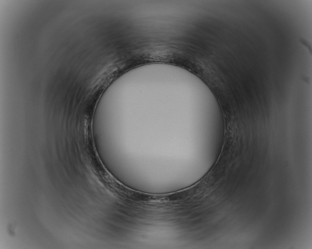 X0000102040744200807181029