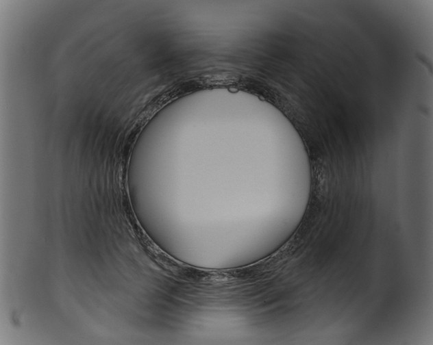 X0000102040745200807181029