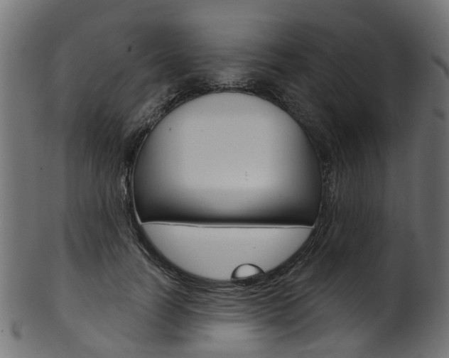 X0000102040746200807181029