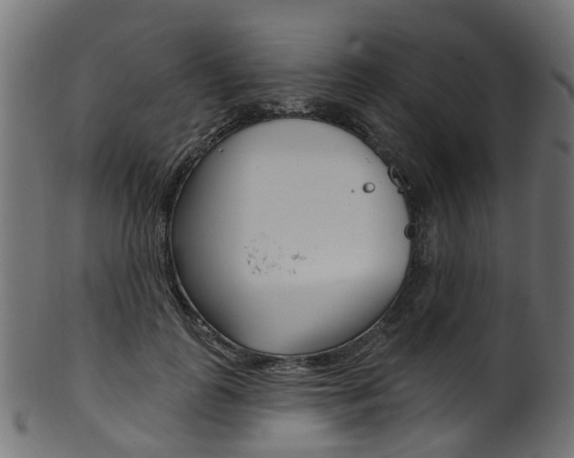 X0000102040747200807181029