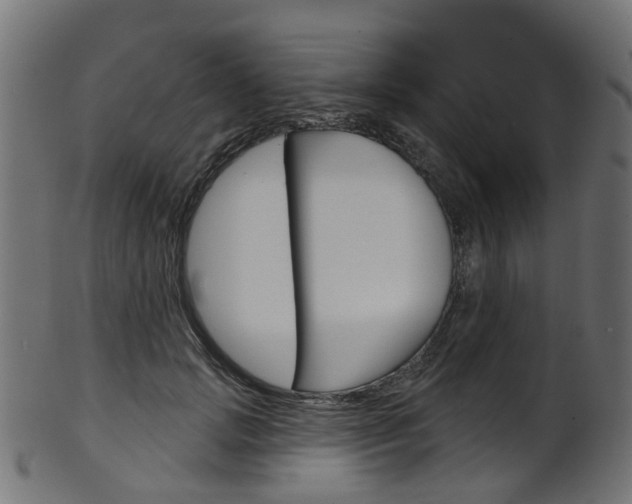 X0000102040749200807181029
