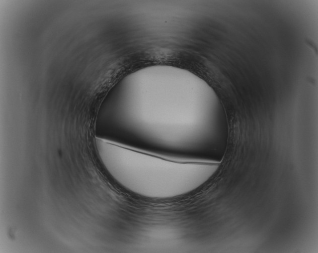 X0000102040750200807181029