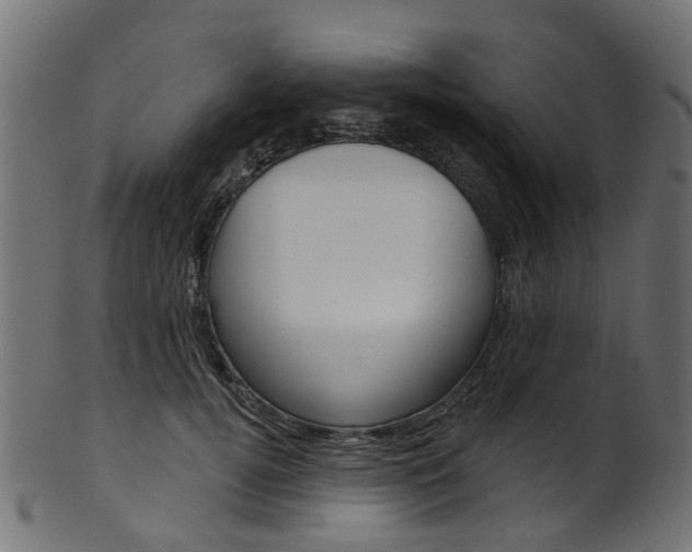 X0000102040752200807181029