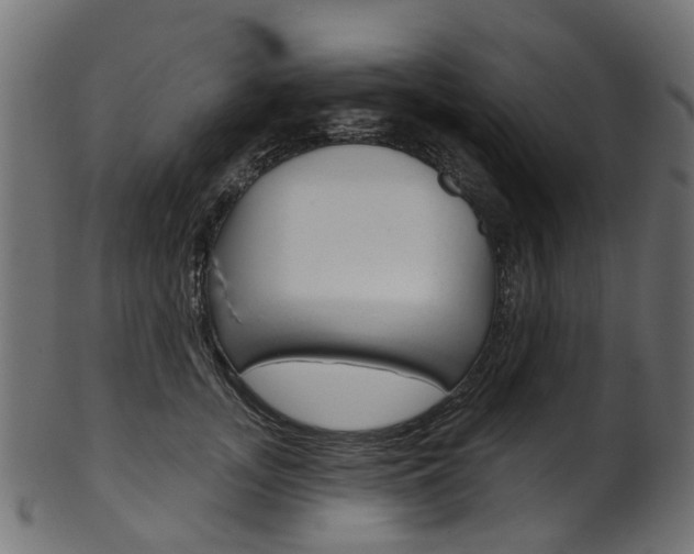 X0000102040755200807181029