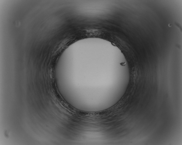 X0000102040756200807181029