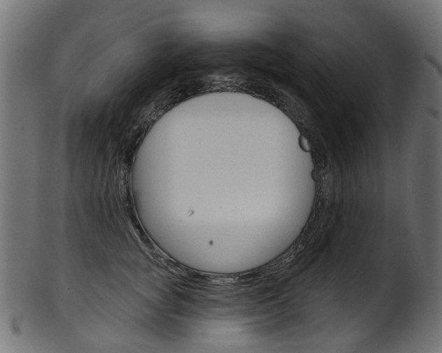 X0000102040757200807181029