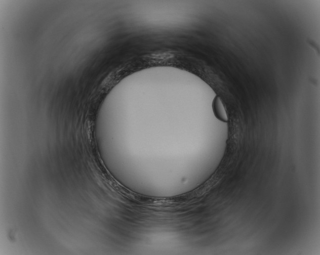 X0000102040758200807181029