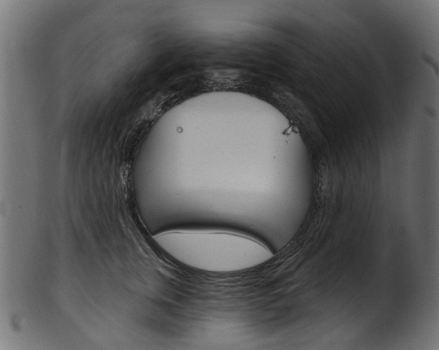 X0000102040759200807181029
