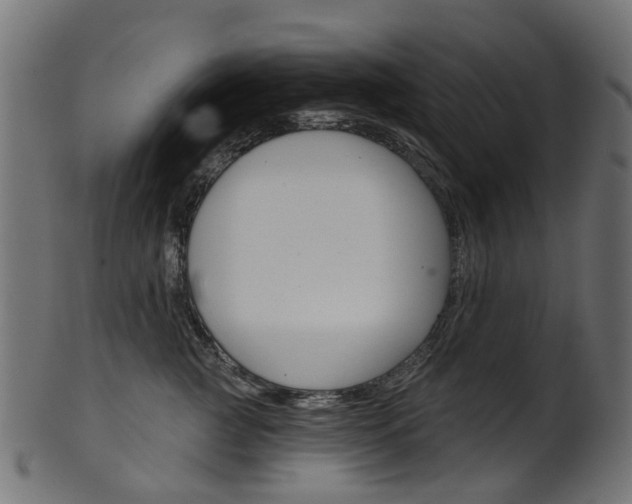 X0000102040761200807181029