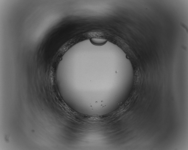 X0000102040762200807181029