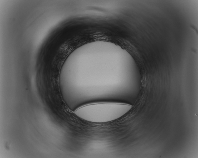 X0000102040763200807181029