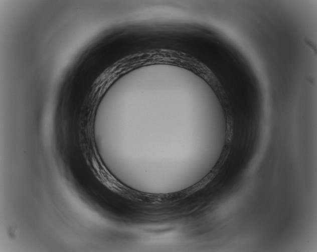 X0000102040765200807181029
