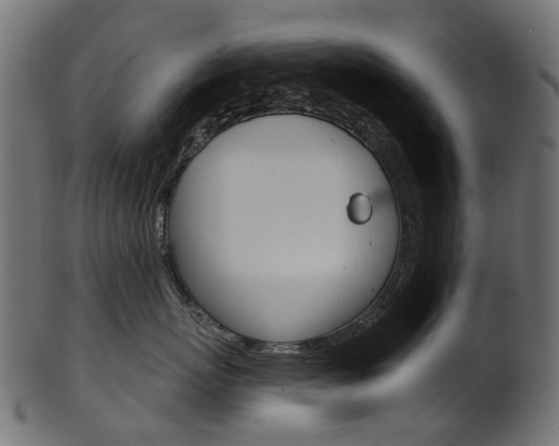 X0000102040767200807181029