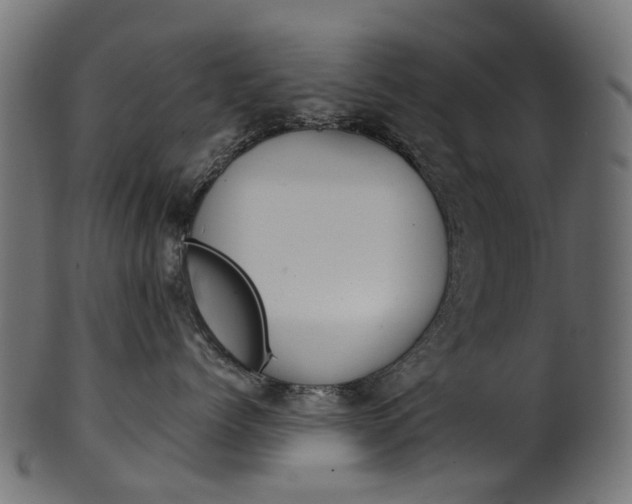 X0000102040768200807181029