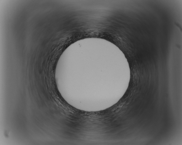 X0000102040769200807181029