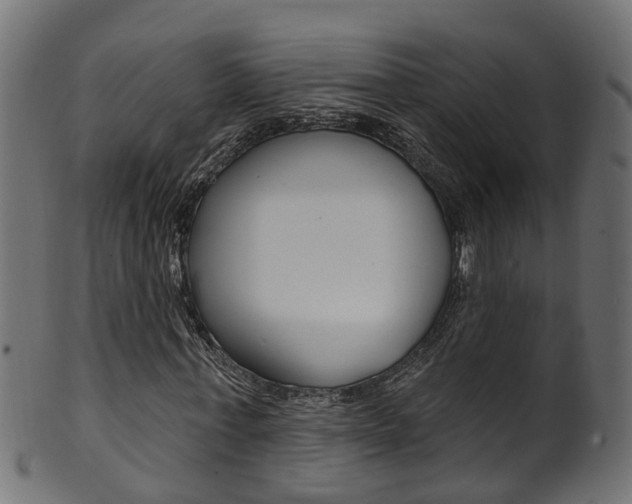 X0000102040771200807181029