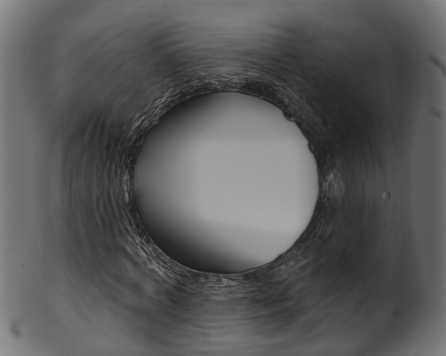 X0000102040772200807181029