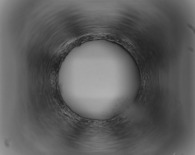 X0000102040773200807181029