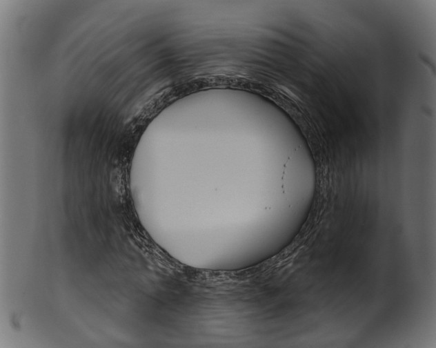 X0000102040774200807181029