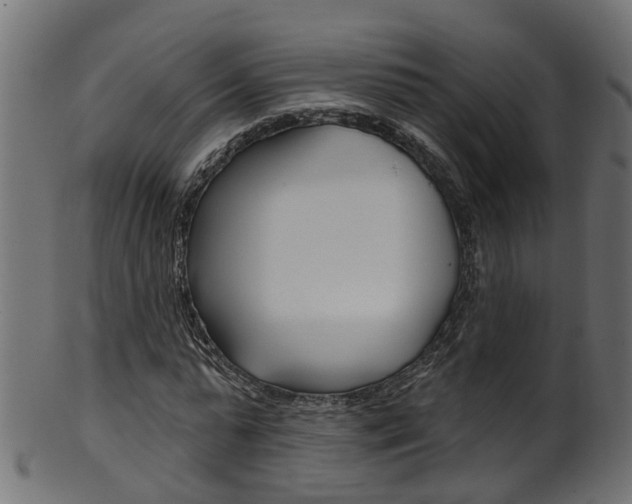 X0000102040775200807181029