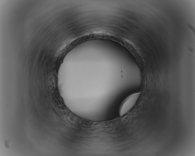 X0000102040776200807181029