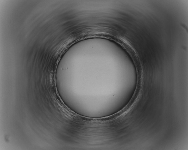 X0000102040777200807181029