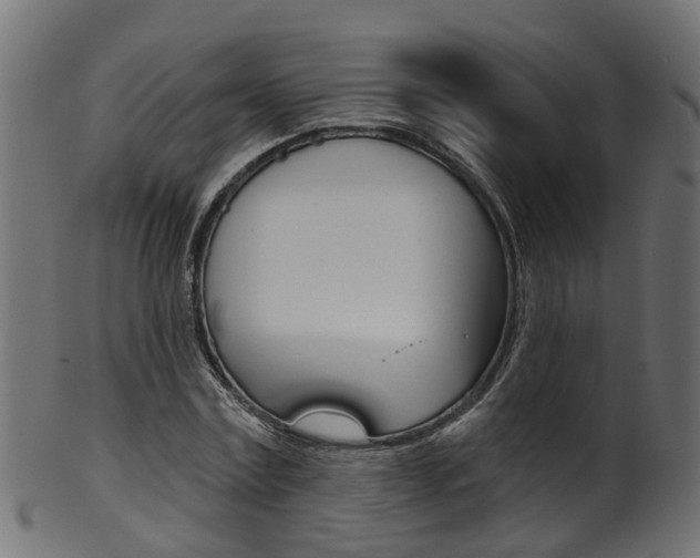 X0000102040779200807181029