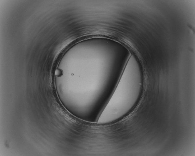 X0000102040780200807181029