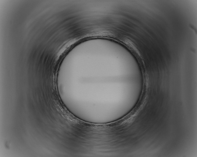 X0000102040781200807181029