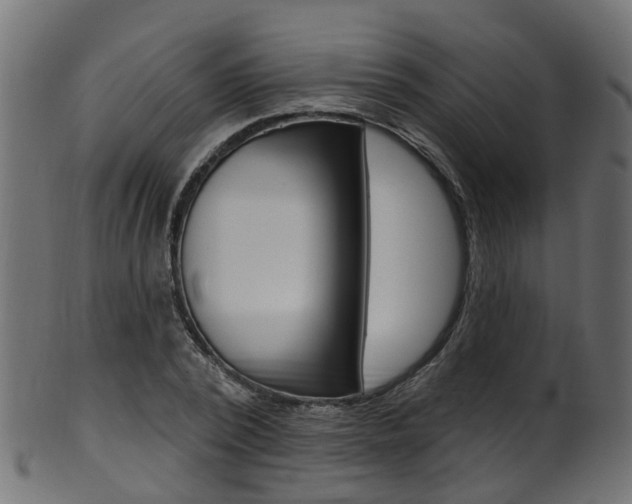 X0000102040784200807181029