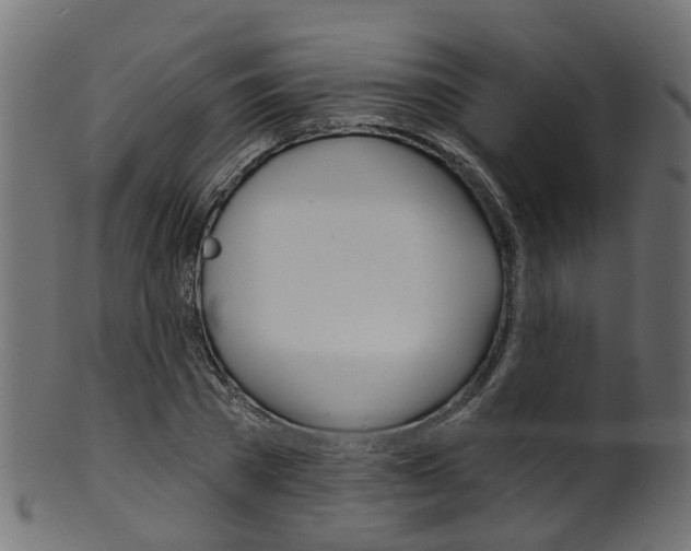 X0000102040785200807181029