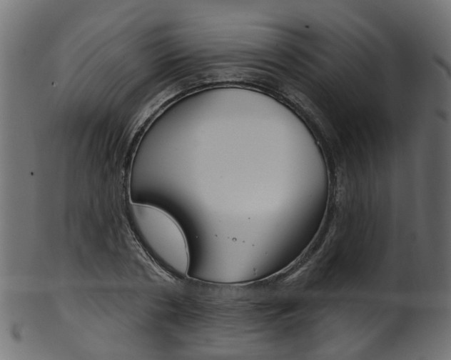 X0000102040786200807181029