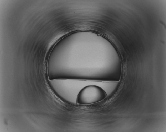 X0000102040787200807181028