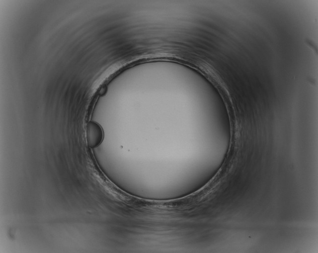 X0000102040789200807181028