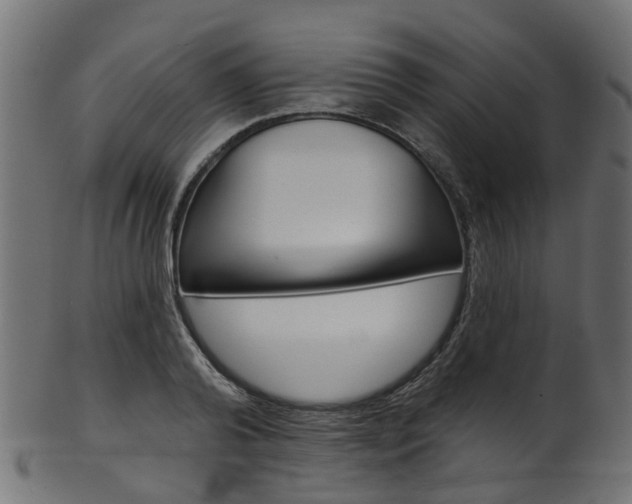 X0000102040792200807181028