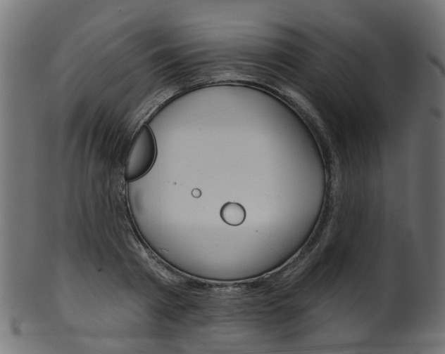 X0000102040793200807181028