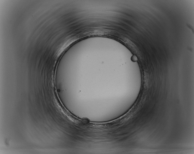 X0000102040794200807181028